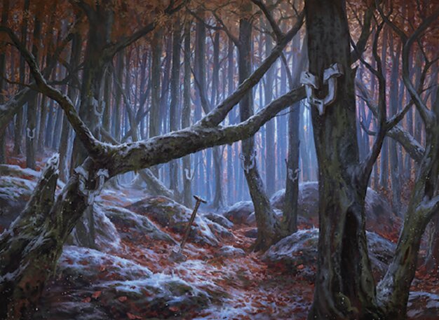 Foresta cambiante