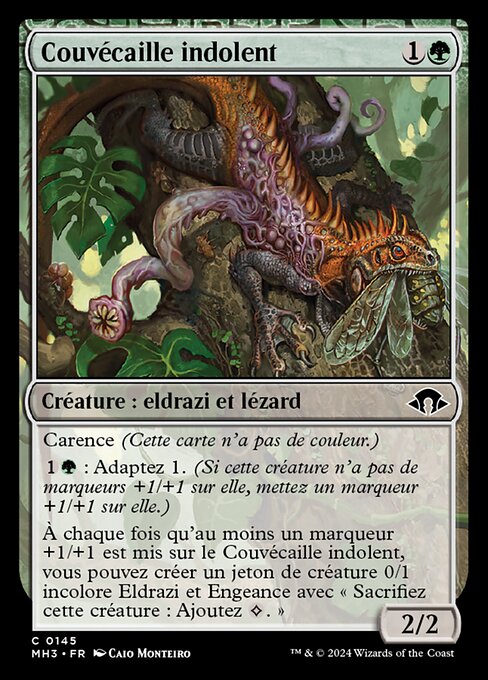 Couvécaille indolent