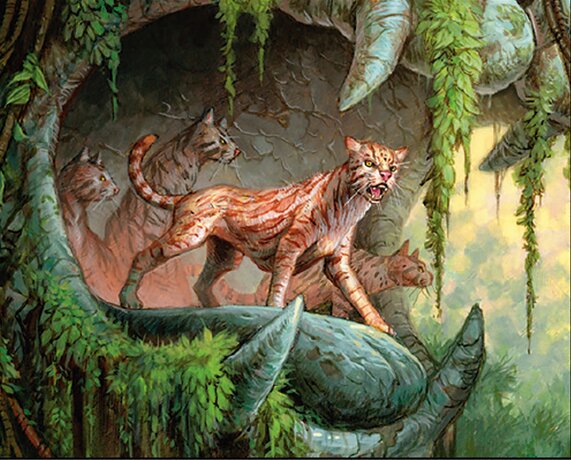 Branco di Ocelot