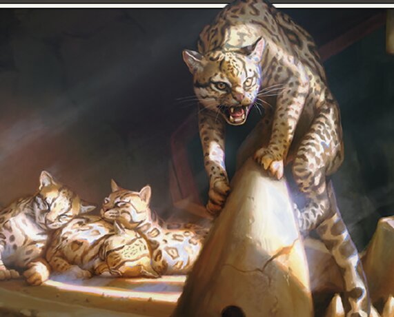 Bando de Ocelot