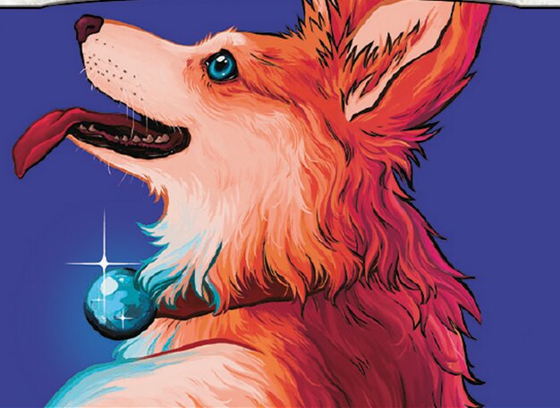 亢奋牧犬费利亚