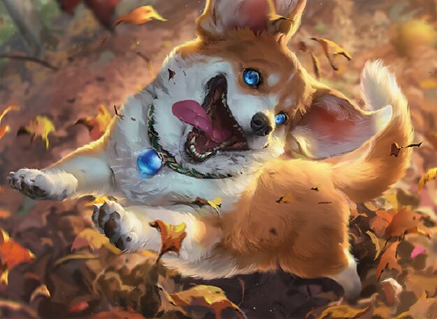 亢奋牧犬费利亚