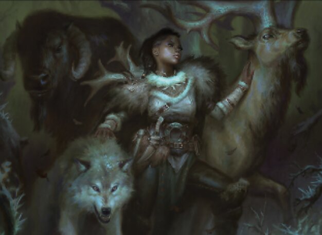 Domadora de Somberwald