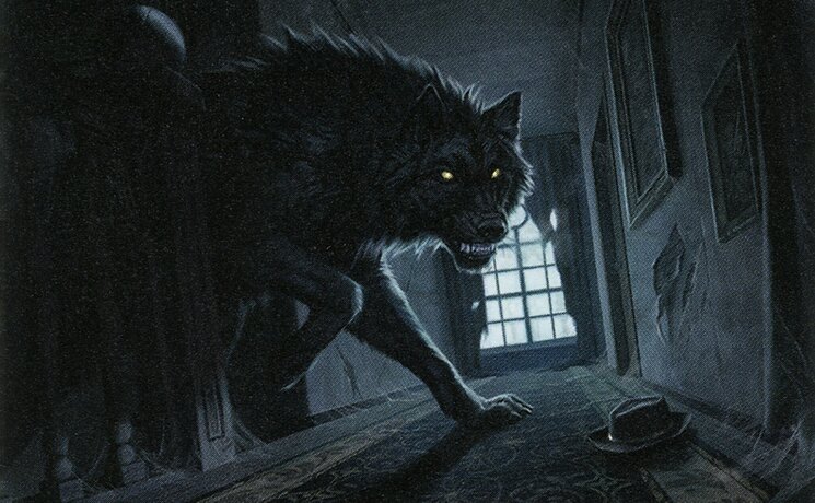 Primal Adversary