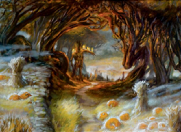 Terre agricole envahie