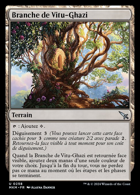 Branch of Vitu-Ghazi