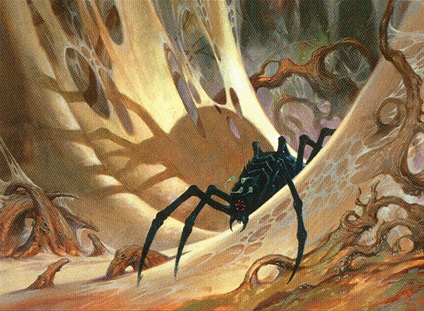 Penumbra Spider