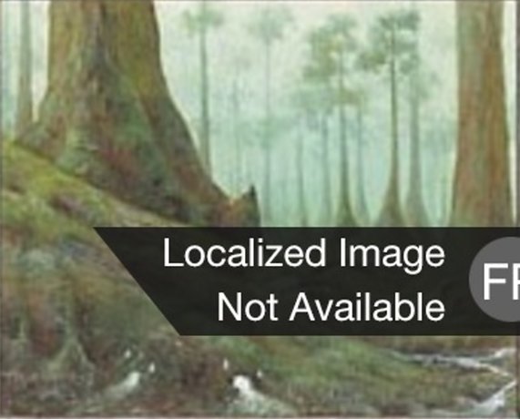 Forêt