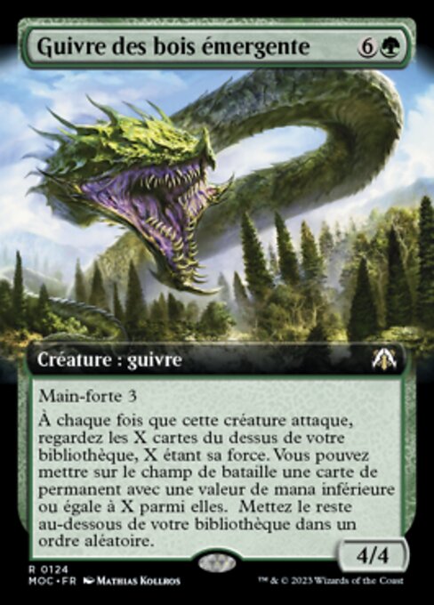 Guivre des bois émergente