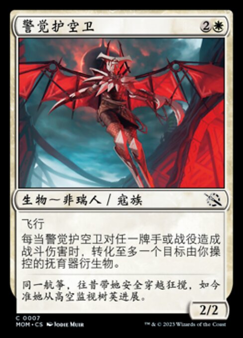 警觉护空卫