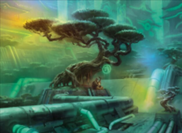 Forêt