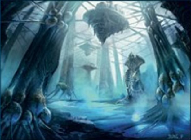 Insel
