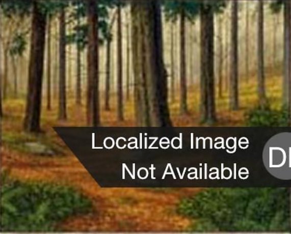 Wald