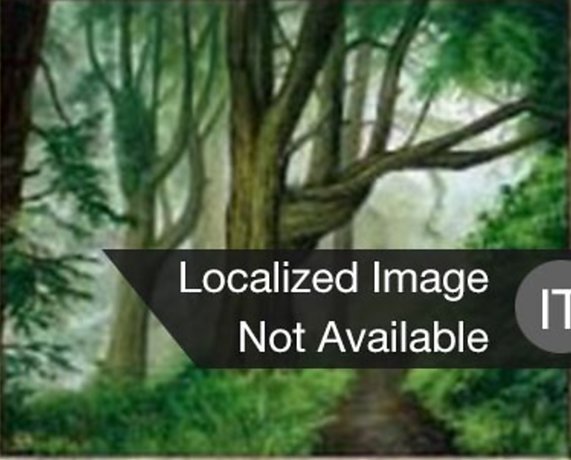 Foresta