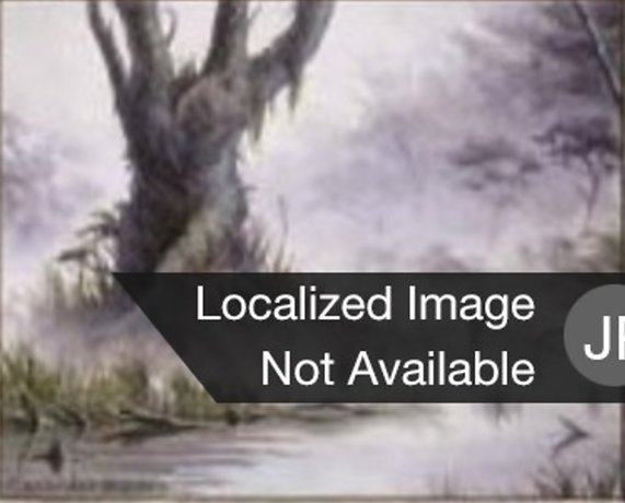 沼