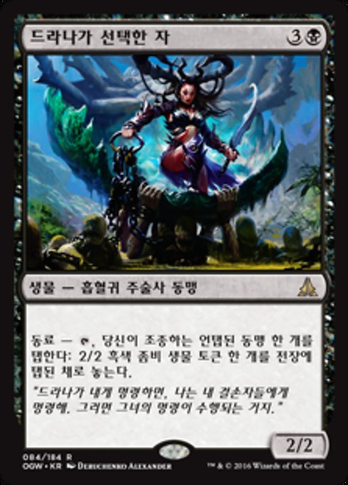 드라나가 선택한 자