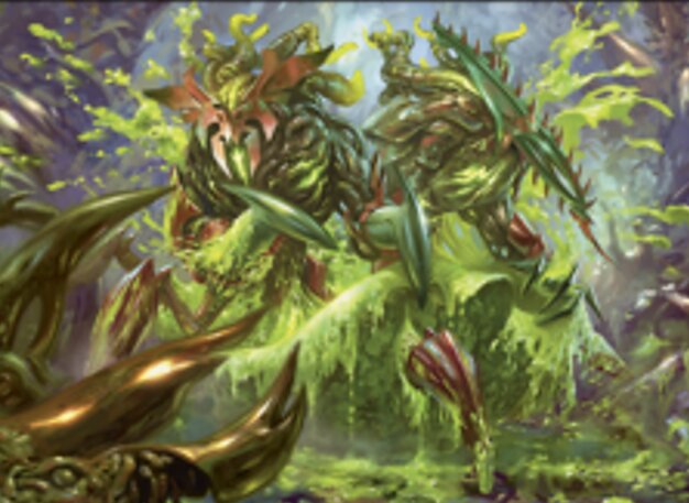 Couvoir de goliaths