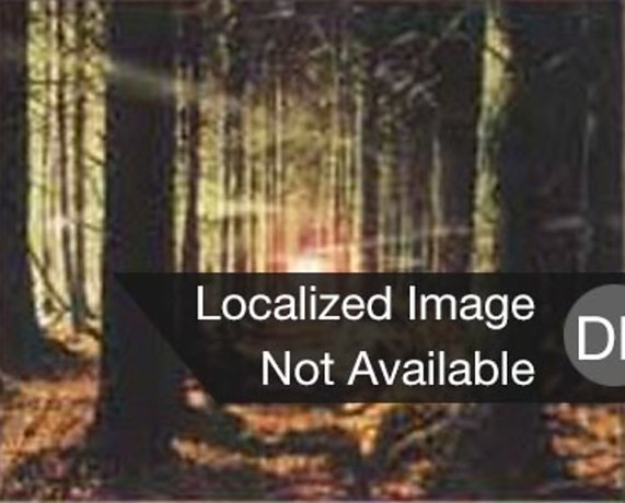 Wald
