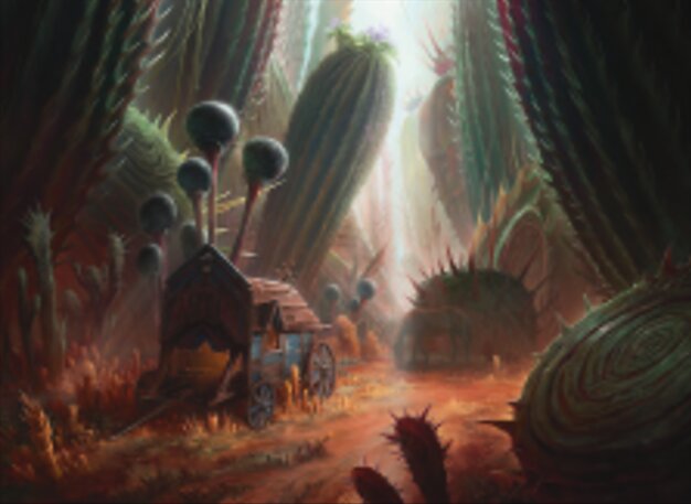Forêt