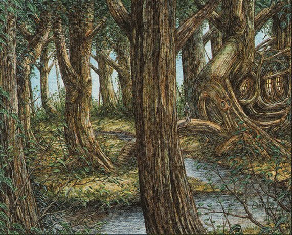 Forest