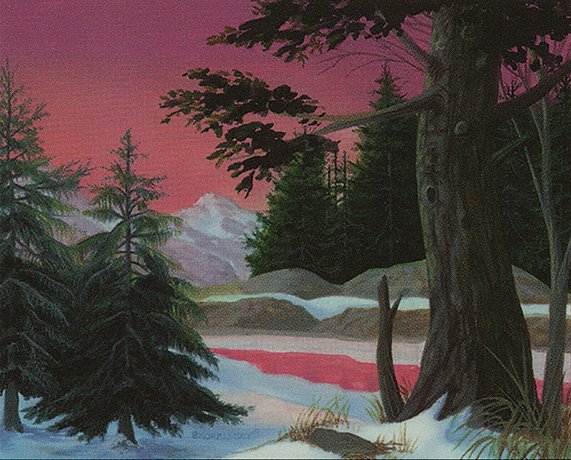 Forest