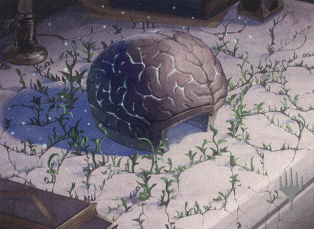 The Stone Brain