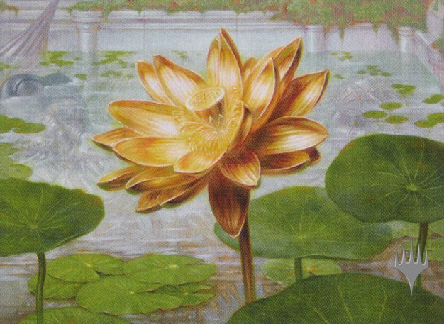 Gilded Lotus