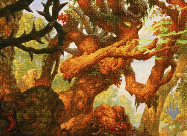 Faeburrow Elder