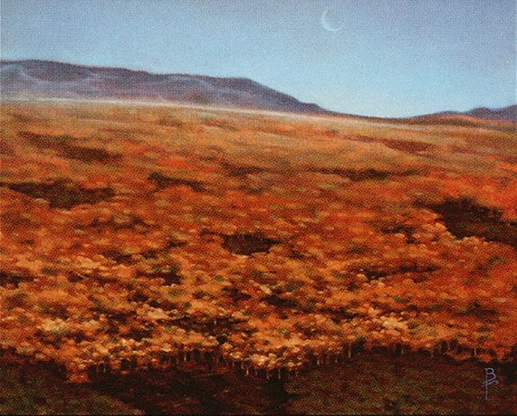 Plains