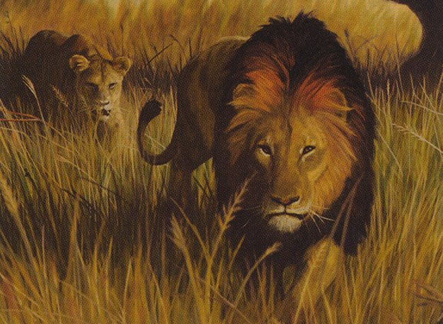Savannah Lions