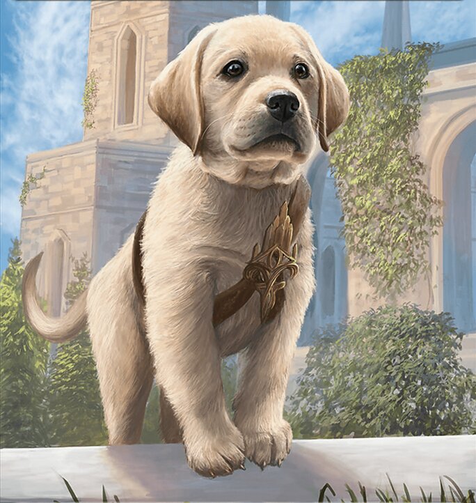 Dog