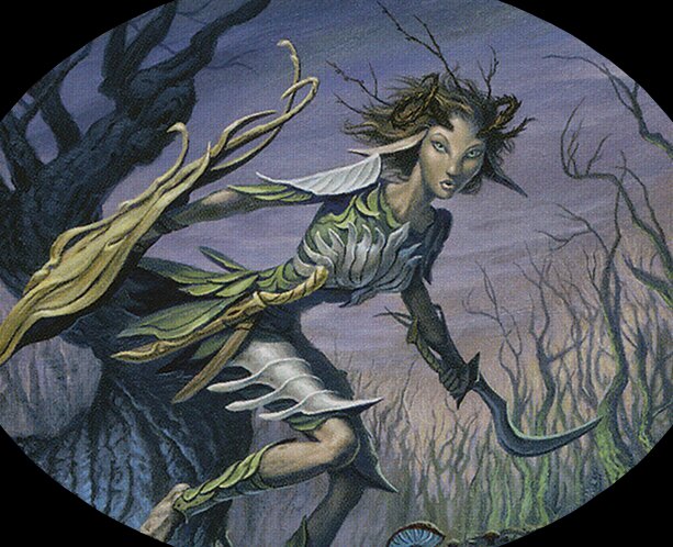 Elf Warrior