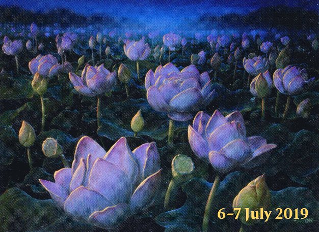 Lotus Field