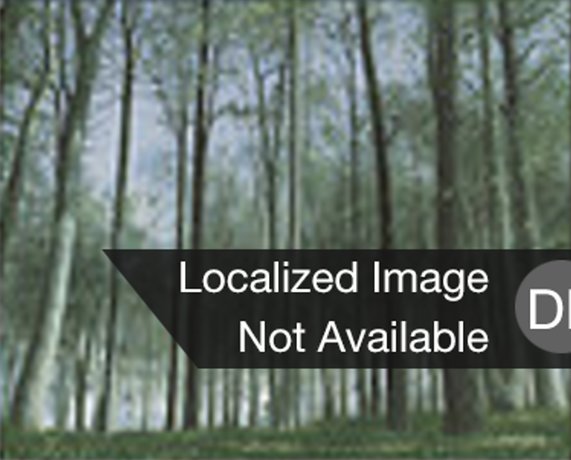 Wald