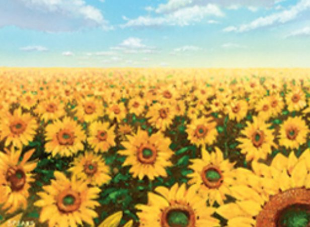 Plains