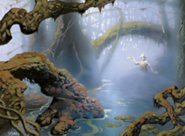 Swamp