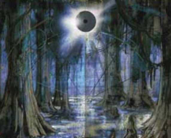 Swamp