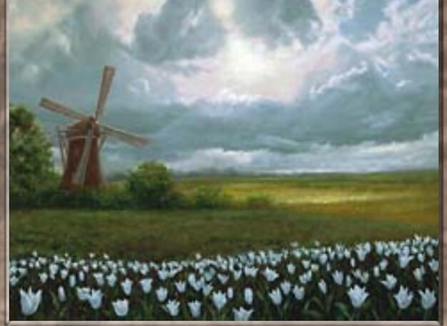 Plains