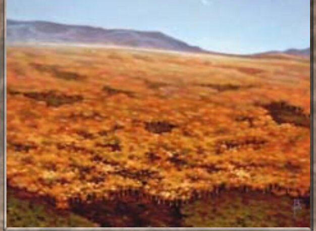Plains