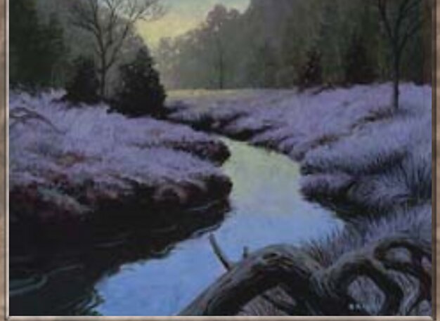 Swamp