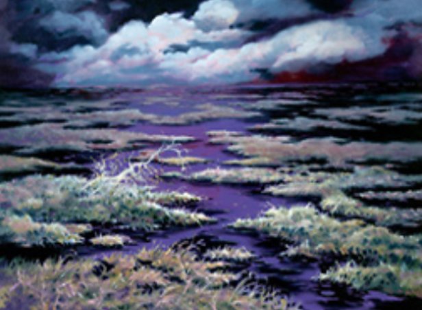 Swamp