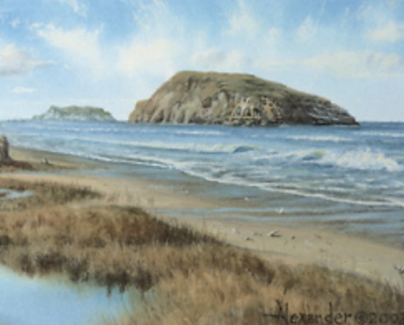 Island