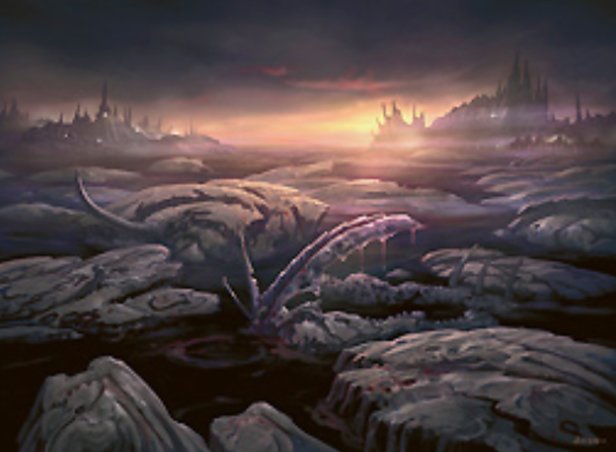Swamp