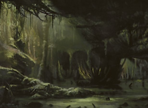 Swamp