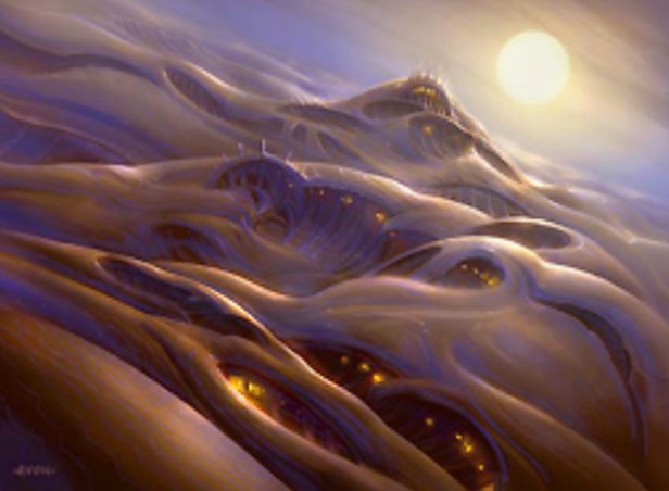 Plains