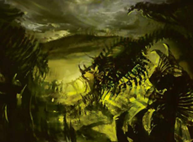 Swamp