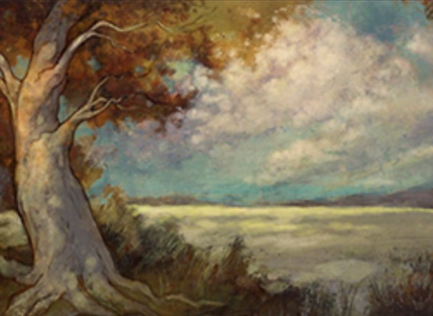 Plains
