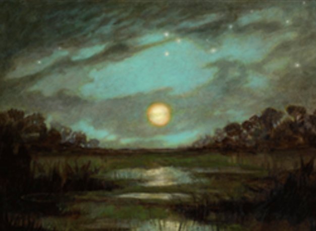 Swamp