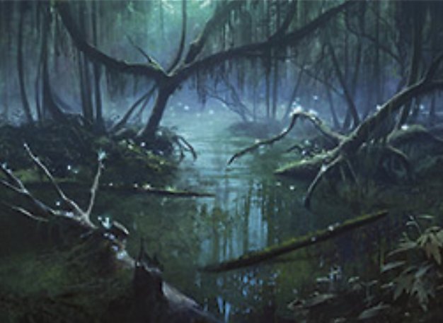 Swamp