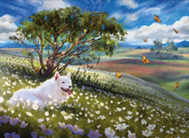 Plains